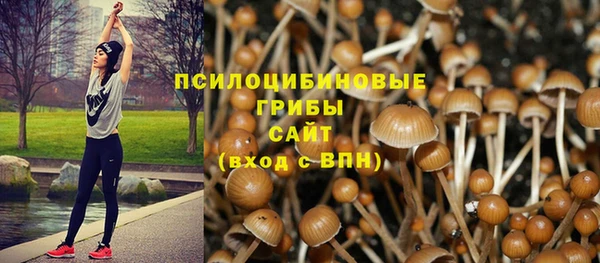 соль ск Володарск